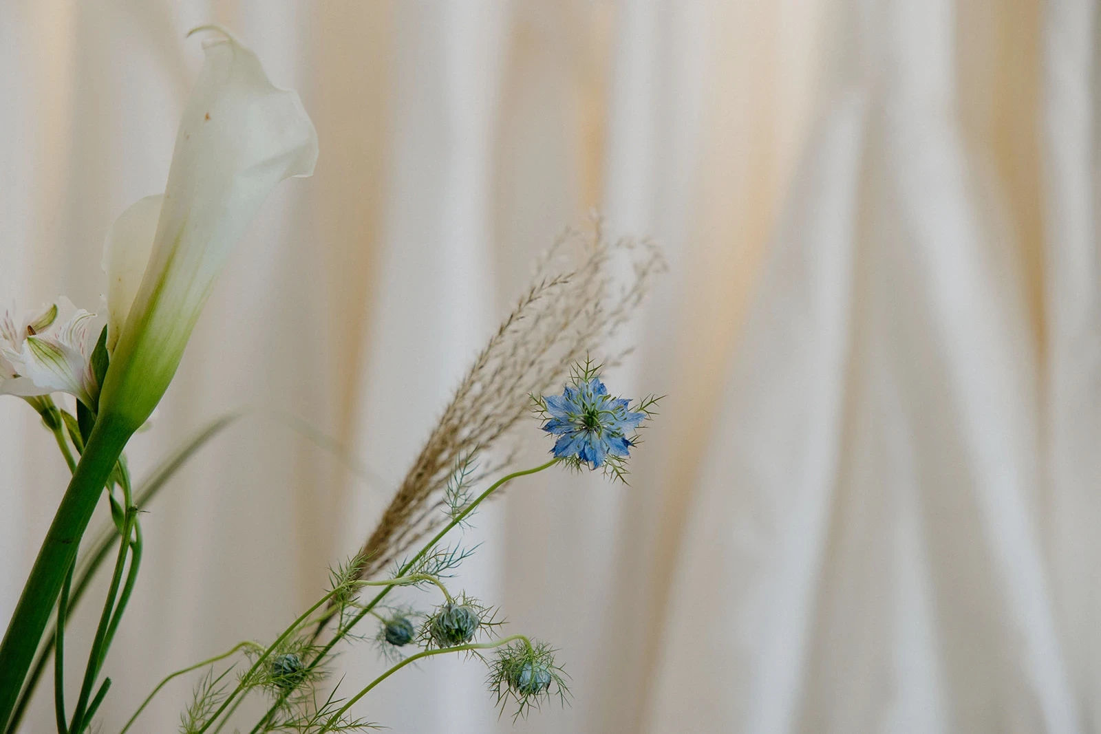 Covet Bridal Indoors